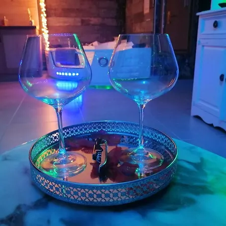 Romantisme Et Glamour 2 Avec , Clim Et Jardin Appartement Dijon