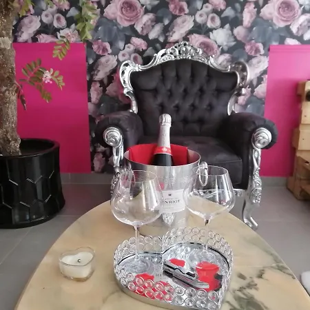 Romantisme Et Glamour 2 Avec , Clim Et Jardin דיז'ון