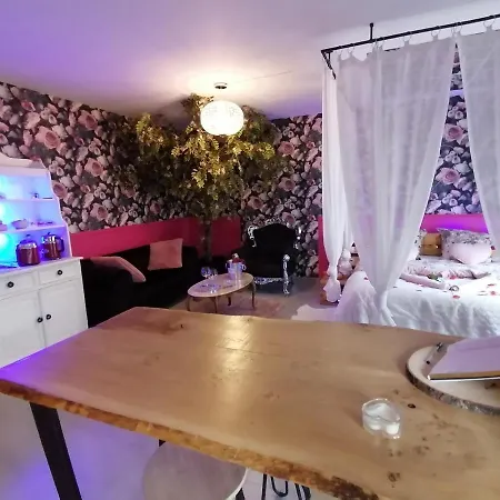 Romantisme Et Glamour 2 Avec , Clim Et Jardin * ديجون