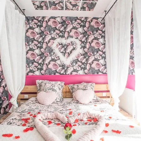 Romantisme Et Glamour 2 Avec , Clim Et Jardin * דיז'ון