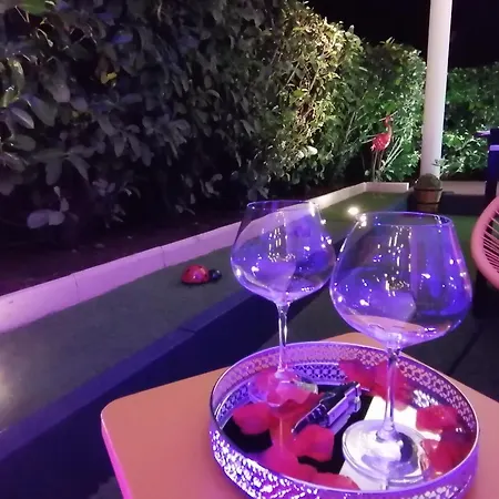 Appartement Romantisme Et Glamour 2 Avec , Clim Et Jardin Dijon