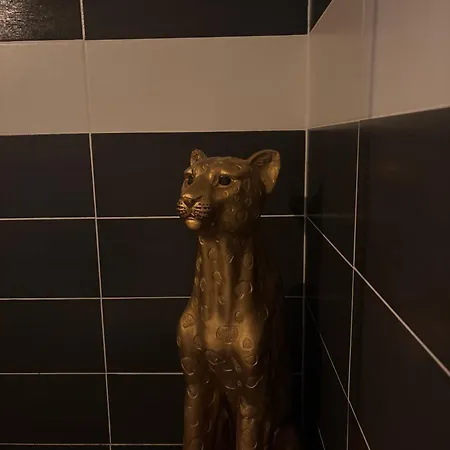 Romantisme Et Glamour 2 Avec , Clim Et Jardin Appartement Dijon