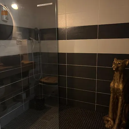 Appartement Romantisme Et Glamour 2 Avec , Clim Et Jardin Dijon