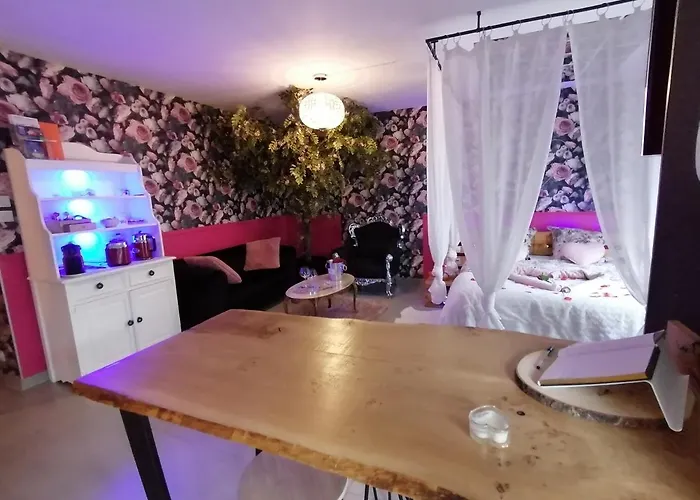 Romantisme Et Glamour 2 Avec , Clim Et Jardin * Dijon