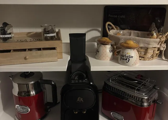 アパート Romantisme Et Glamour 2 Avec , Clim Et Jardin ディジョン