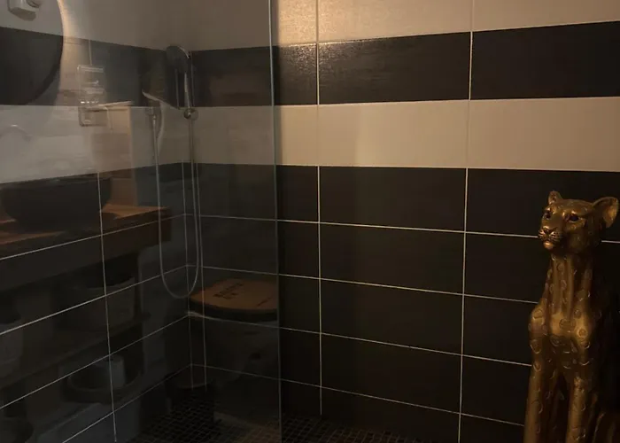 アパート Romantisme Et Glamour 2 Avec , Clim Et Jardin ディジョン